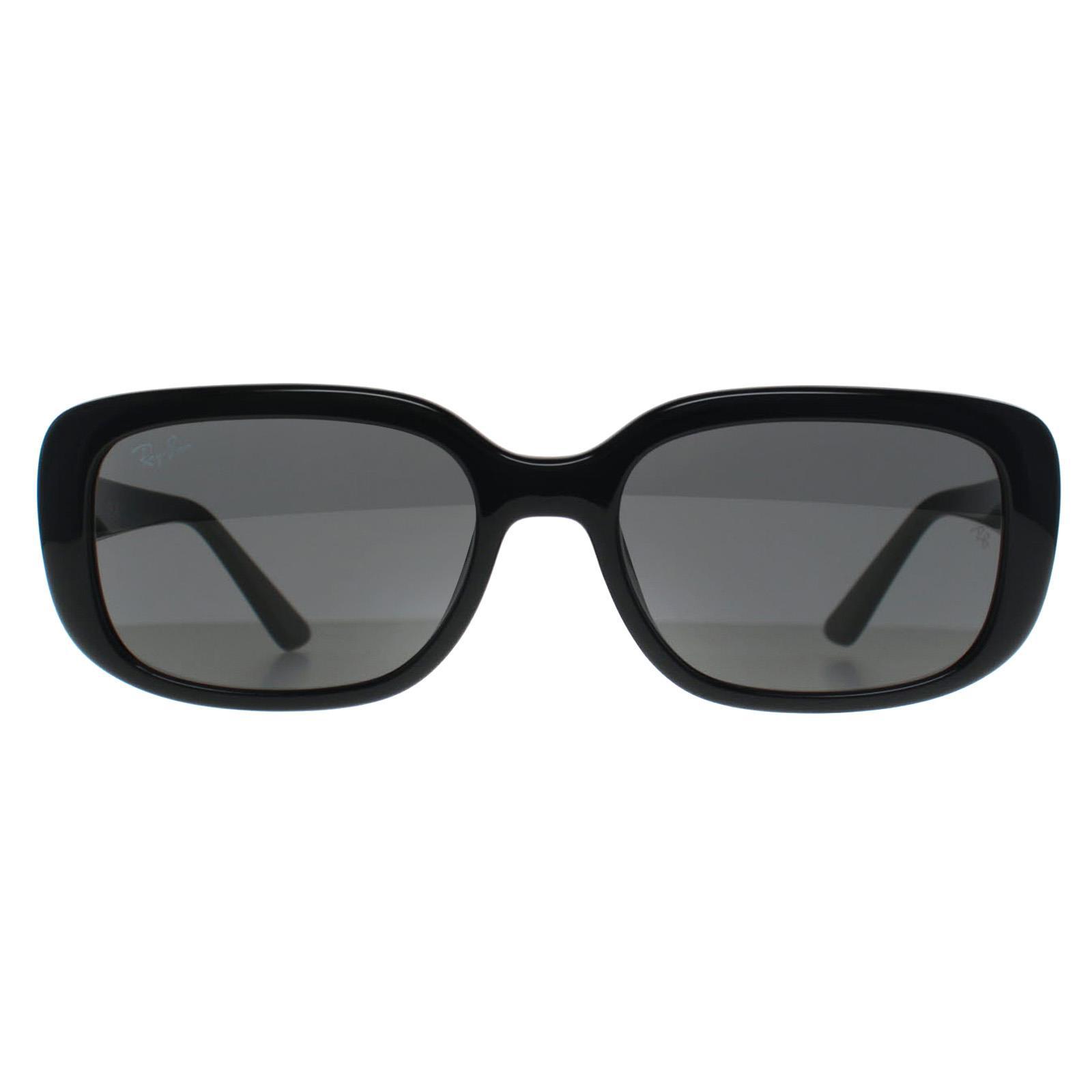 Ray-Ban RB4421D Bio Based 667787 gepolijst zwart donkergrijs zonnebril