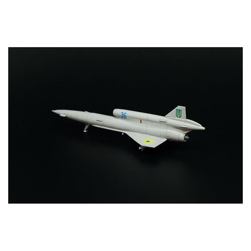 Brengun Tupolev Tu-141 Strizh (BRS144065)