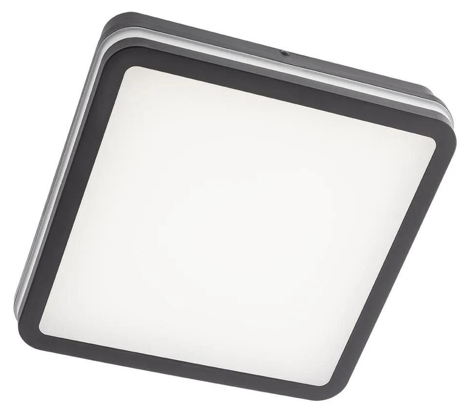 Redo Outdoor ISOLA PL LED 24W IP54 DG tuinverlichting met bewegingssensor Breedte: 26 cm, Hoogte: 5,5 cm