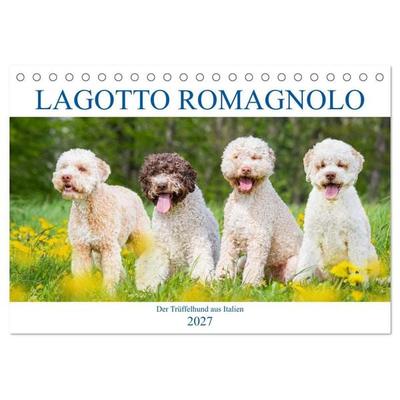 Lagotto Romagnolo - Der Trüffelhund aus Italien (Tischkalender 2027 DIN A5 quer), CALVENDO Monatskalender