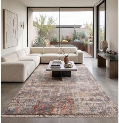 Amer Rugs Albany Vintage Power-Loom Gray Area/Runner Rug