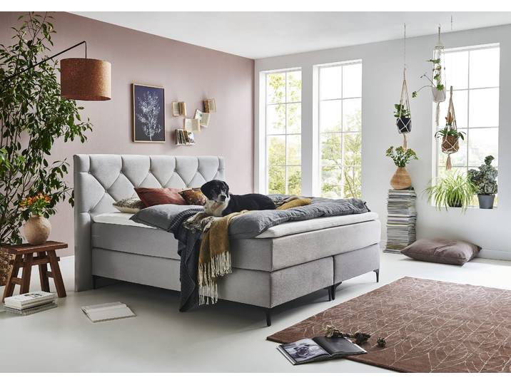 Boxspringbett HOME AFFAIRE Aiko , grau, B:180cm L:207cm, Bezug Bett: haustierfreundlicher Strukturstoff (100% Polyester), besonders pflegeleicht und antistatisch. Bezug Topper: Jersey; Gestell: Massivholzrahmen, Komplettbetten, Boxspringbett, 100% vegan, mit tierfreundlichem Bezugssstoff, besonders pflegeleicht