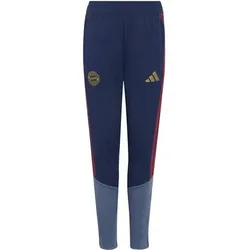 ADIDAS Kinder Fanhose FC Bayern 26/27 Training, Größe 116 in Blau Blau