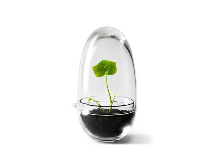 Design House Stockholm Serre Grow Small ø8 cm