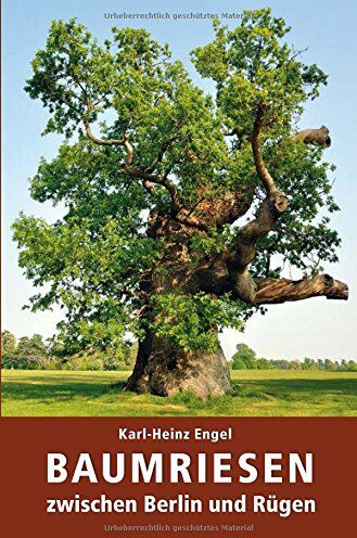 Karl-Heinz Engel - Baumriesen zwischen Berlin und Rügen: Karl-Heinz Engel - Preis vom 19.10.2026 19:33:35 h