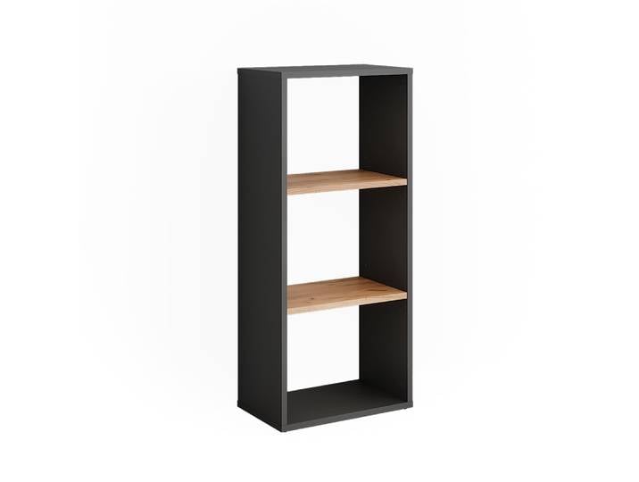 Armoire à chaussures anthracite/chêne doré 40x90.5cm
