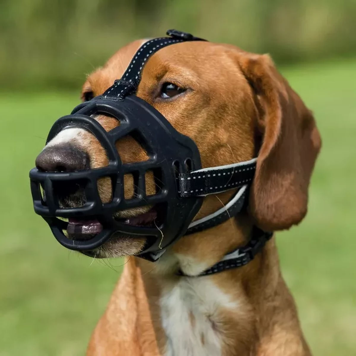 TRIXIE Museruola Silicone Flex Muzzle S