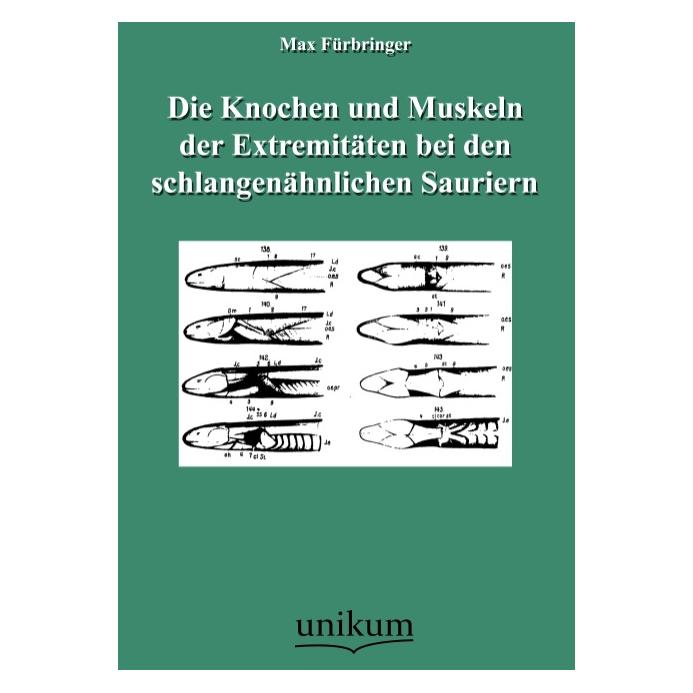 Unikum Die Knochen und Muskeln der Extremitäten bei den schlangenähnlichen Sauriern (Deutsch, Softcover, Max Fürbringer) (7388527)