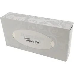Kosmetiktücher 100er 2lagig 21x19cm in Box