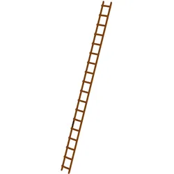 Günzburger Steigtechnik Dachleiter Holz 18 Sprossen