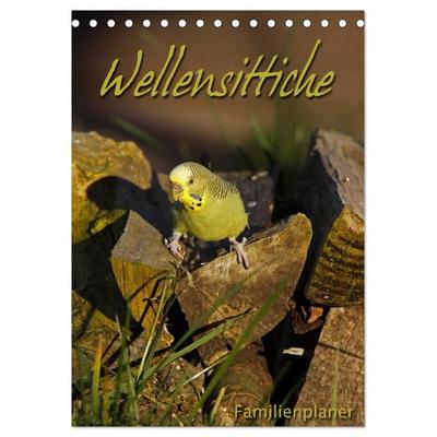 Wellensittiche (Tischkalender 2026 DIN A5 hoch), CALVENDO Monatskalender