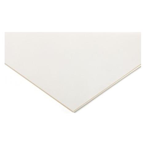RS PRO Acryl Tafeln 2x400x500mm 2St. (824632)