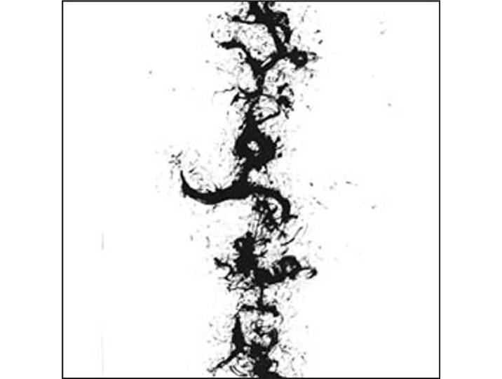Simulacrum - The True Discoveries Of Witches And