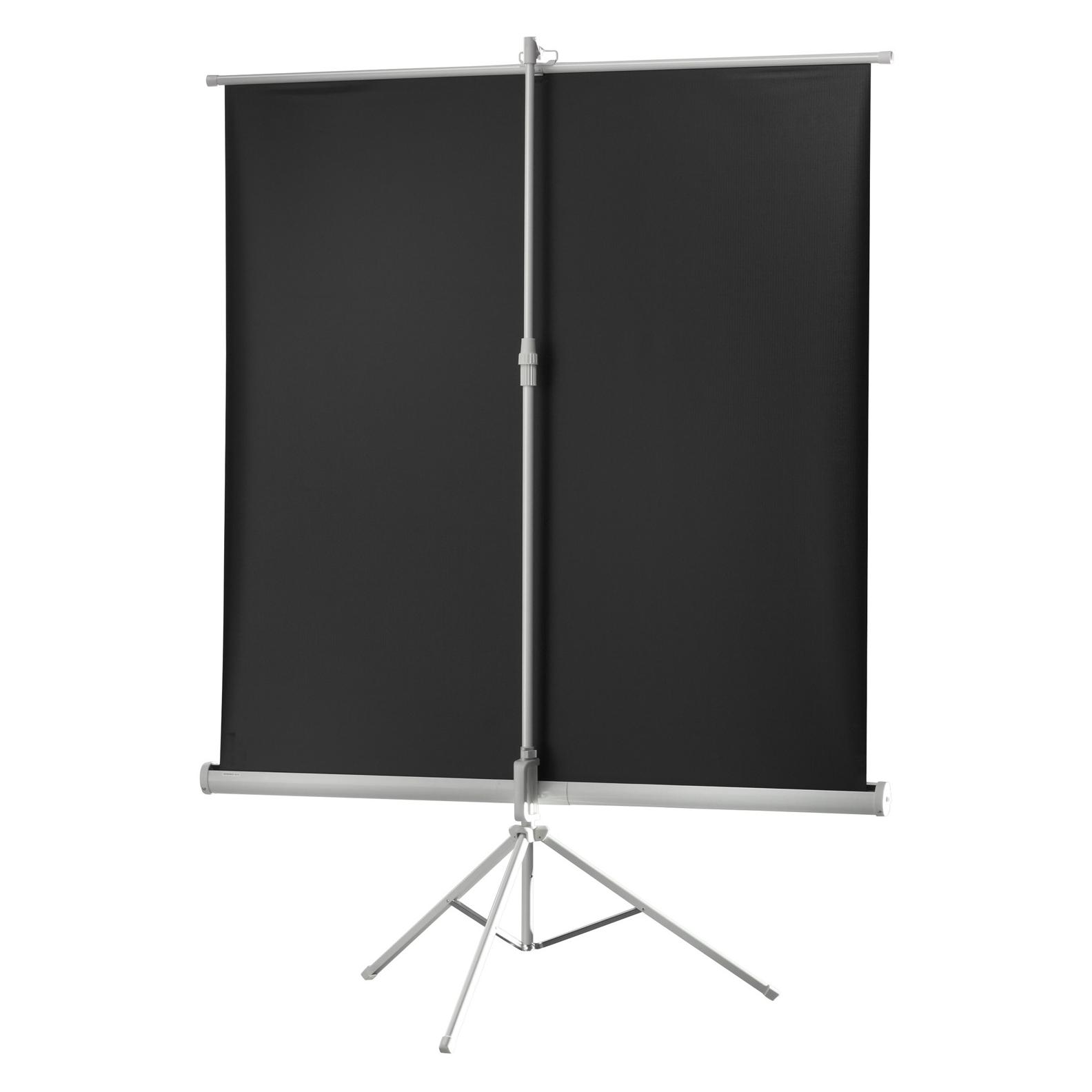 Celexon Leinwand (72.44", 1:1) (1090016)