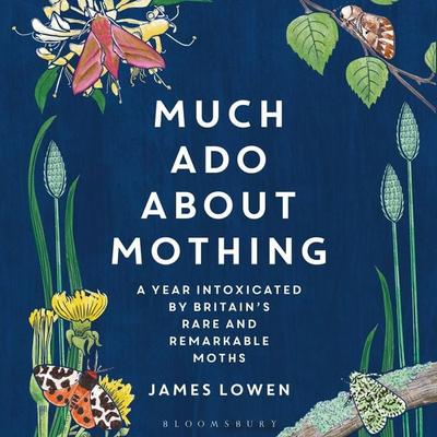 Much Ado About Mothing - James Lowen, Audio, 9781472991621