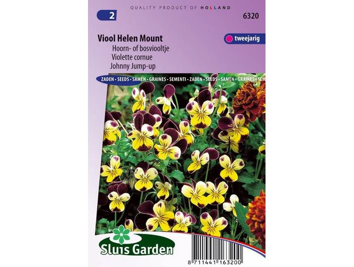 Viola Cornuta zaden Helen Mount viooltjes