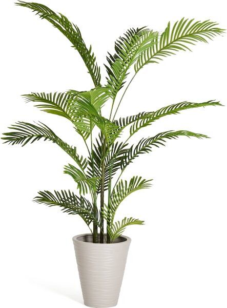 4EverGreen Palme Træ, 150 Cm