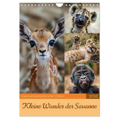 Kleine Wunder der Savanne (Wandkalender 2026 DIN A4 hoch), CALVENDO Monatskalender