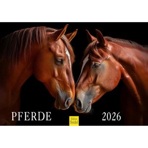 Edition-Seidel Bildkalender 27589, Pferde 2026, Motiv: Pferde, Spiralkalender, A3