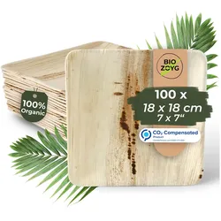 BIOZOYG 100 Stück Einwegteller 18x18cm Palmblatt-Teller, quadratisch, biologisch abbaubar, umweltfreundlich, kompostierbar, Wegwerfteller