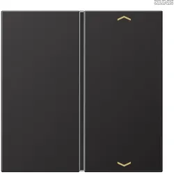Jung Taste 1-fach Symbole Auf/Ab AL 2401 TSAP D