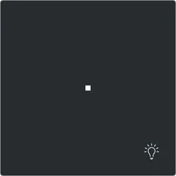 Busch-Jaeger Wippe 1-fach, mit Symbol "Licht" free@home (TP), Busch-art linear® (schwarz matt)