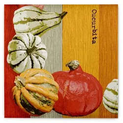 Sovie HORECA Serviette Britta in terrakotta aus Linclass® Airlaid 40 x 40 cm, 50 Stück - Struktur Kürbis Herbst