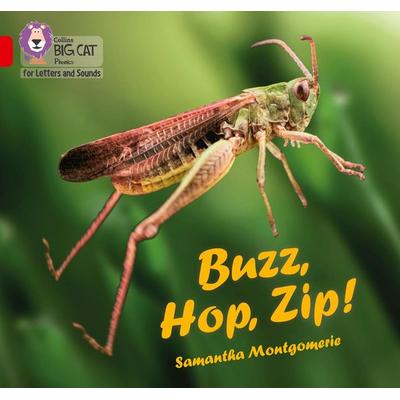 Buzz, Hop, Zip!, Taschenbuch von Samantha Montgomerie, HarperCollins, 978-0-00-838123-3