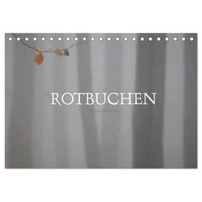 Rotbuchen (Tischkalender 2027 DIN A5 quer), CALVENDO Monatskalender