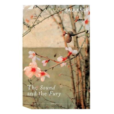 The Sound and the Fury, Taschenbuch von William Faulkner, Vermilion, 978-0-09-947501-9