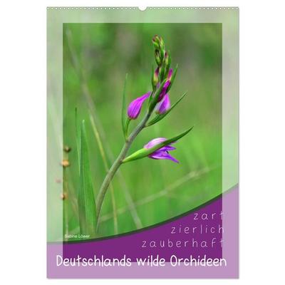 Deutschlands wilde Orchideen (Wandkalender 2027 DIN A2 hoch), CALVENDO Monatskalender