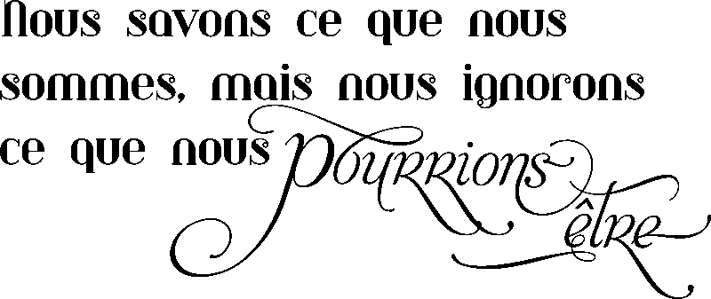 Ambiance-sticker Sticker citation Nous ignorons ce que nous pourrions être ...