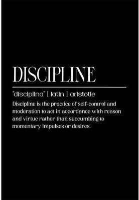 Uplift Picks Motivational Quotes Wall Art Inspirational Discipline Canvas Poster 03 50x70 Cm no Frame
