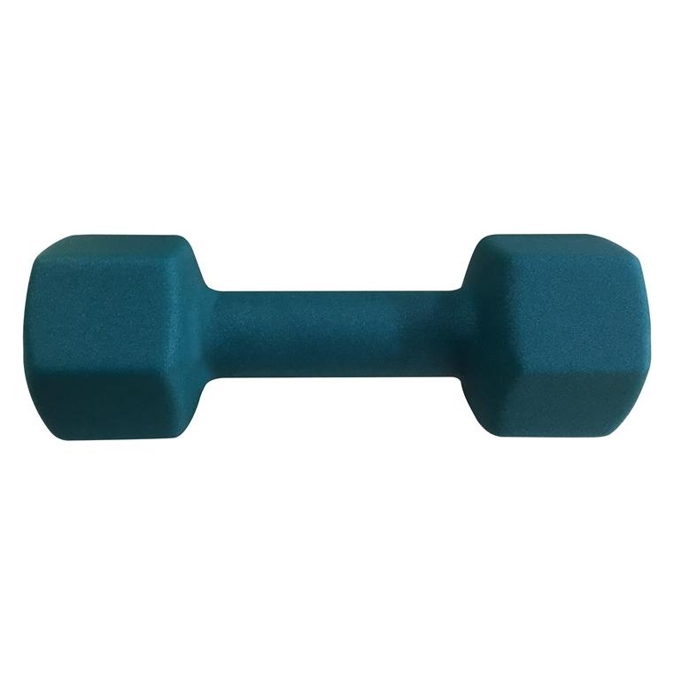 Outliner Hexdumbbell (1 x 4 kg) (IR92004F-4KG)