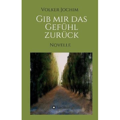 Gib mir das Gefühl zurück, Gebundene Ausgabe von Volker Jochim, Tredition, 978-3-7323-6165-6