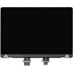 MacBook Pro 16-Zoll A2991 Display