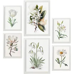 POSTER Set Mit 6 Weiße Blumen Vollfarbige Natur Und Botanikdrucke Mit Blumenmotiven Auf Reinweißen Hintergründen A3 & A4 Weißer Rahmen