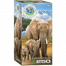 eurographics Puzzle - Elefanten - 250 Teile 301280