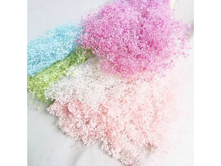 Gypsophile stabilisée, Million Star, Vente en gros usine Yunnan, Gypsophile colorée, Fleurs séchées DIY, Fleurs flottantes pour aromathérapie