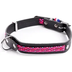 Martin Sellier Colorado (Hund, Allgemein, Spazieren), Halsband + Leine