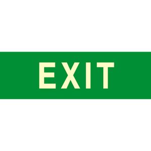 Abtec Hinweisschild Kunststoff, 29,7 x 10,5 cm, nachleuchtend, Exit