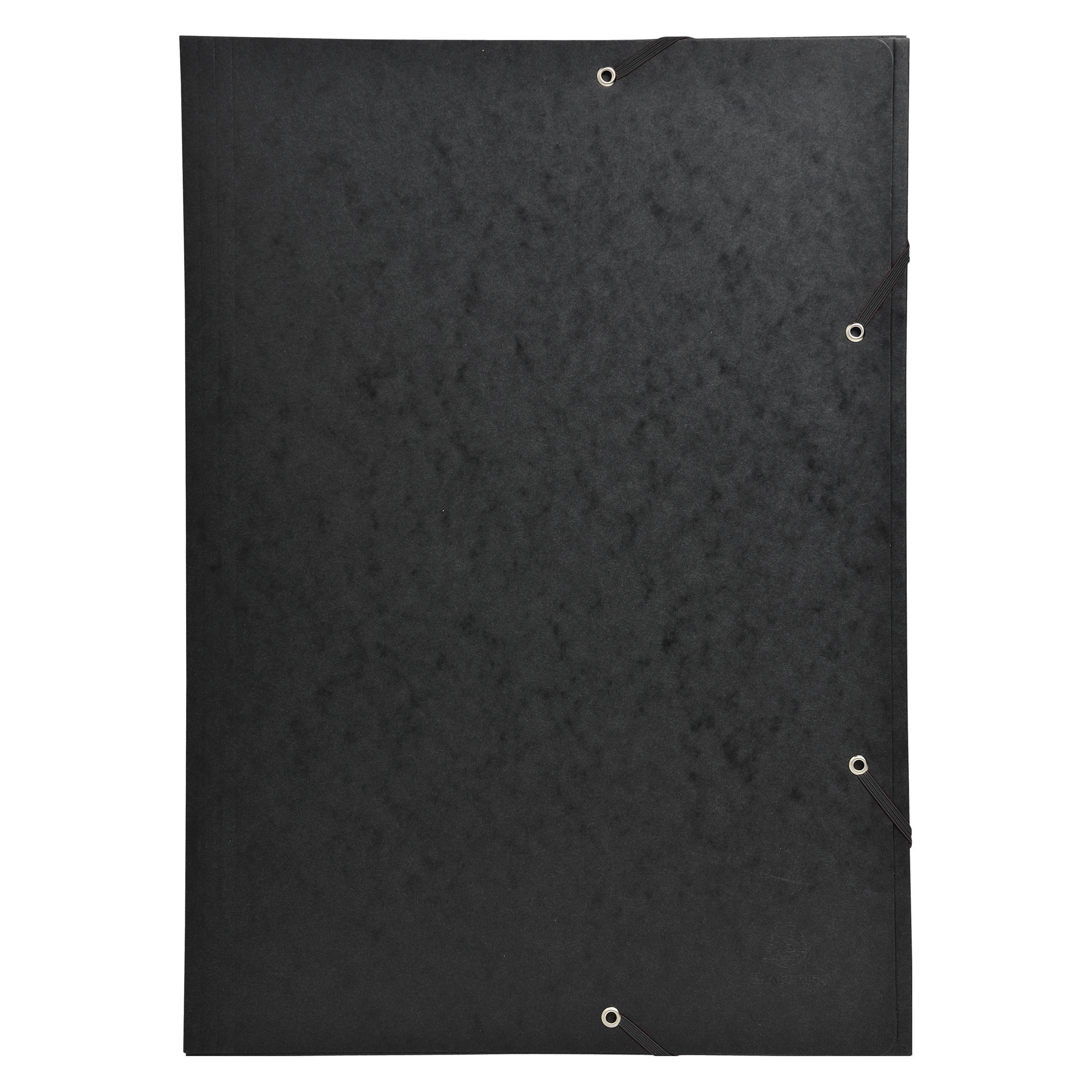 Exacompta Sammelmappe mit Gummizug (A3) (59502E)