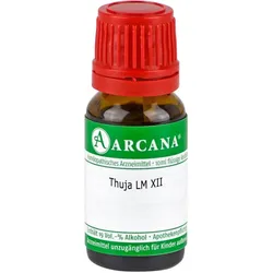 Thuja Lm 12