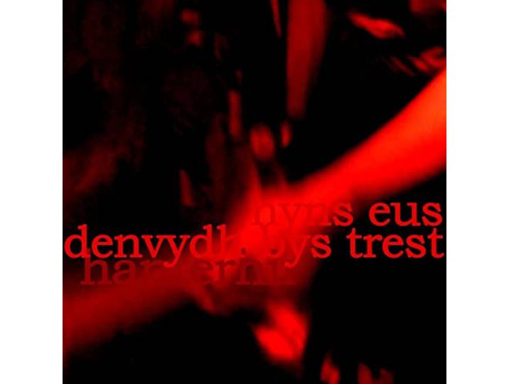 There Is No One to Trust (Nyns Eus Denvydth Bys Tr
