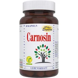 Carnosin 40 ST