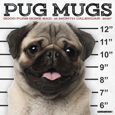 Pug Mugs 2027 12 X 12 Wall Calendar