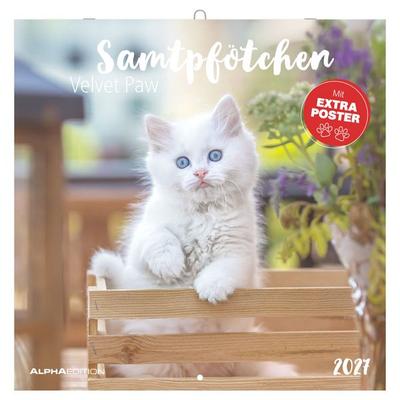 Samtpfötchen 2027