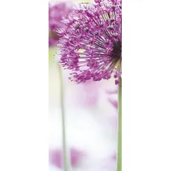 Scheurich Türfolie Purple Spring, für Innen- Außentüren