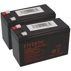 24V Akku-Satz 2x Effekta BT 12-9,5K 12V 9,5Ah – passend für Tante Paula Scooter und Elektroroller