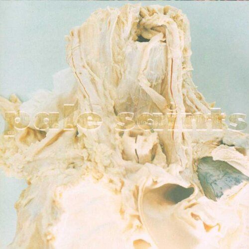 Pale Saints - In Ribbons - Preis vom 10.10.2026 11:48:34 h